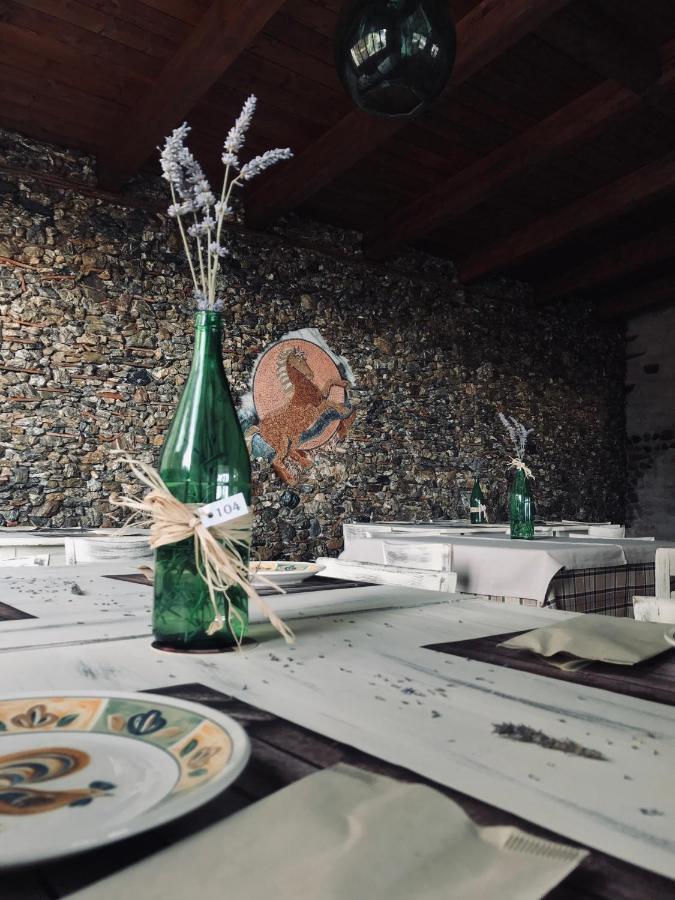 Il Podere Dell'Angelo Old Country House 벨베데레마리티모 외부 사진
